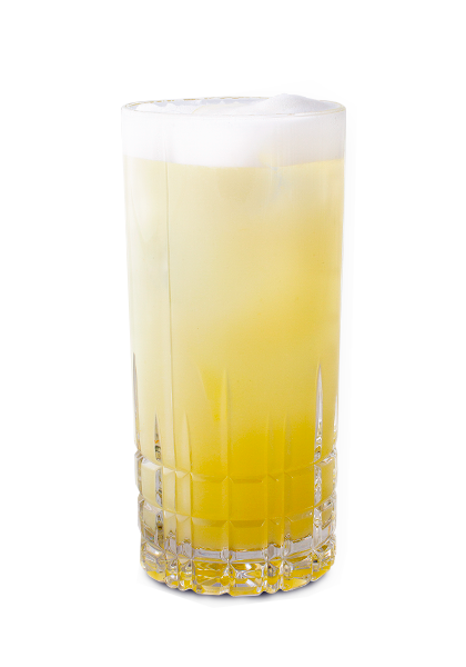 Gin Fizz